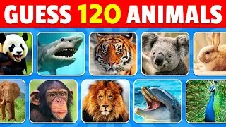 Guess 120 Animals in 3 Seconds | Easy, Medium, Hard, Impossible