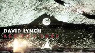 David Lynch 'Are You Sure' (OFFICIAL AUDIO)