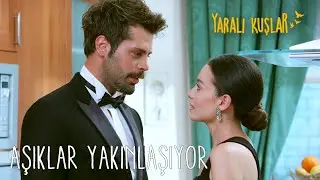 Levent ve Meryem yakınlaşmaya başlıyor 💕 | Yaralı Kuşlar