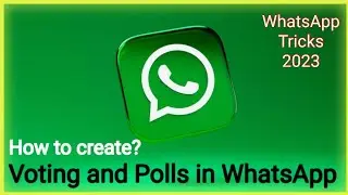 How to start voting / how to create a poll in the WhatsApp groups?