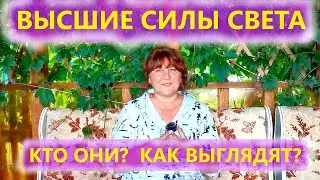 Высшие Силы Света Кто они? Как выглядят? Ирина Белова.