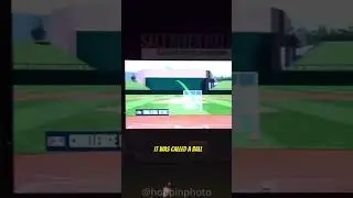 Robot umpires are coming to mlb..