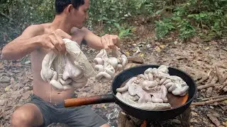 Cooking Delicious Pig Intestines Recipe in the Forest