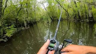 3 HOUR RIVER CHALLENGE!! (TOPWATER + FLIPPING)