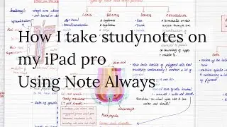 How I take study notes in Note Always on my iPad pro| Paperless Student