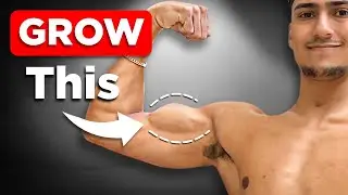 How to Get BIGGER Biceps (3 BEST Bicep Exercises!!)