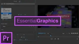 The Essential Graphics Panel