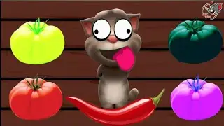 talking tom eating a tomato and chilli (mirch) 🌶️ 