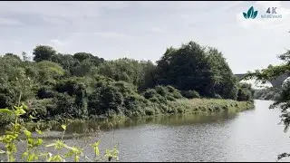 Walking by the river on a bright sunny day