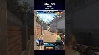 DONK IS INSANE MAN