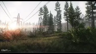 Escape from Tarkov - Через берег на развязку в лес!