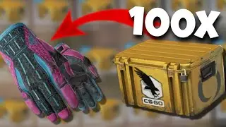 Opening 100 Clutch Cases