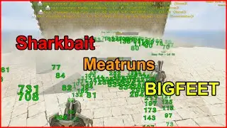 Sharkbait meatruns BIGFEET - Atlas EU PVP