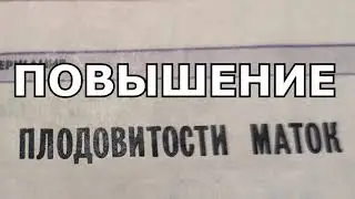 Как повысить плодовитость пчеломаток на пасеке? Сильные пчелосемьи.№7.1985