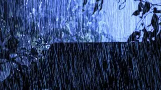 Fall into Sleep Immediately with Heavy Rainstorm, Powerful Wind & Thunder Sounds in Stormy Night