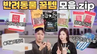 사랑하는 반려견을 위한! 만족도 최고의 애견용품 모음! 🐶 몰리스에서 구매해왔습니다