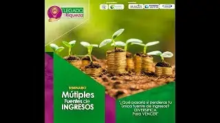 Seminario: Como Generar Multiples Fuentes de Ingresos