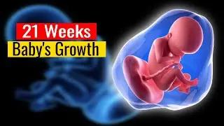 21 Weeks Pregnant: Baby's Growth, Kicks & More!