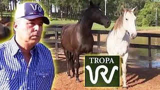 TROPA WR ●  Só Cavalo de Rodeio Campeão