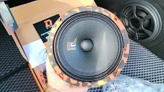Обзор эстрадной акустики DL-AUDIO Gryphon PRO 165 Neo