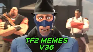 TF2 MEMES V36