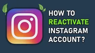 How to Reactivate Instagram Account