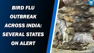 Bird Flu outbreak across India: Several states on alert