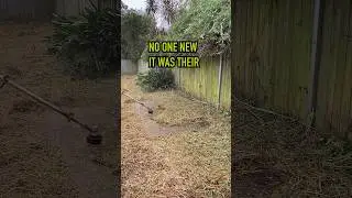 No one new it was their 