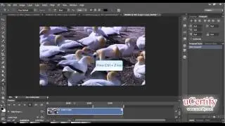 adobe photoshop how to lift and extract work area demo