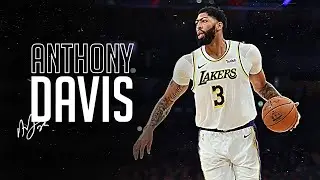 Anthony Davis Best Plays As A Laker | Dominant Highlights