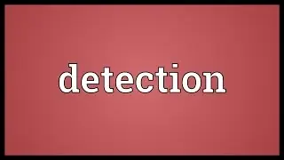 Detection Meaning