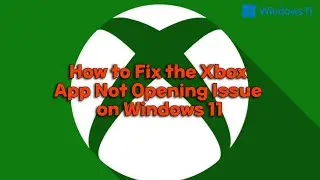 How to Fix the Xbox App Not Opening Issue on Windows 11