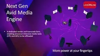 In Site: Avid Media Composer 2019