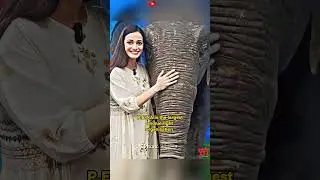 PETA Indias 2023 Person of the Year 🙄Dia Mirza Biggest Hypocrite 🫡| Hypocrisy at its peak😵‍💫🫡