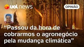 Crise climática: Tá quente e difícil de respirar? Calma que ainda vai piorar muito | Sakamoto