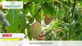 Sahajchem Products- Plant Growth Promoter results