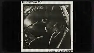 David Wallraf - L'Ombilic Des Limbes (2023) [10" S/S]