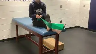 Ankle Rehab