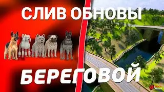 ОБНОВА ЗАВТРА?! СЛИВ ОБНОВЛЕНИЯ на БЛЕК РАША! ДОМАШНИЕ ПИТОМЦЫ, НОВЫЙ ПОСЕЛОК! BLACK RUSSIA на IOS!