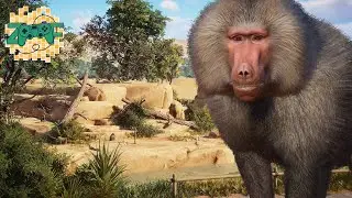 Hamadryas BABOONS in LIMPOPO | Planet Zoo Speed Build