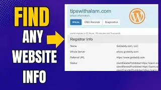 How To Find Information On Any Domain Or Website