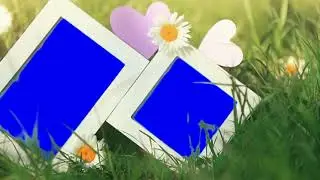 new wedding green screen,fcpx green screen,edius 3d effect,edius green screen,fcpx effect green,170