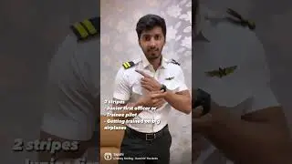 Meaning of pilot shoulder stripes!