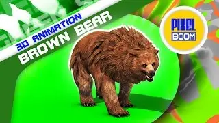 Green Screen Brown BEAR Roar Attack Dead - Footage PixelBoom