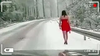 55 Incredible Road Moments Caught on Camera