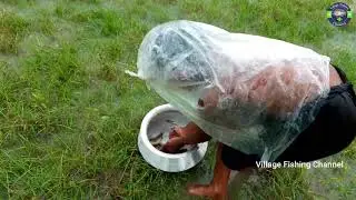 Best Net Fishing Video - Village Fishing After Rain l Fishing Media