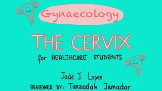 GYNAECOLOGY - All about the Cervix (for Healthcare Students)