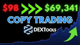 100x Copy Trade Meme Coins - Dextools & Telegram Trading Bot