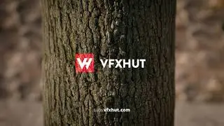 VFX Hut - Subscribers Asset Library