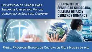 Seminario de Seguridad Ciudadana, Cultura de Paz y Derechos Humanos, Panel: Programa estatal de